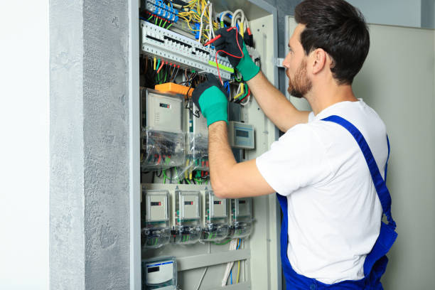 Best Electrical Troubleshooting Services  in Carlisle, IA