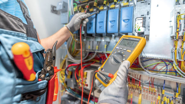 Best Electric Panel Repair  in Carlisle, IA