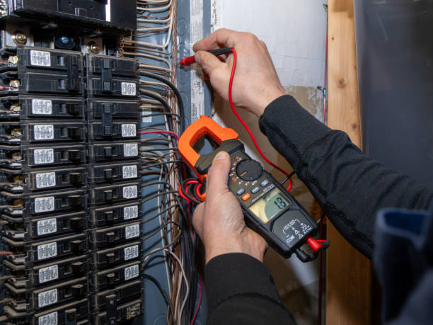 Best Home Electrical Repair  in Carlisle, IA