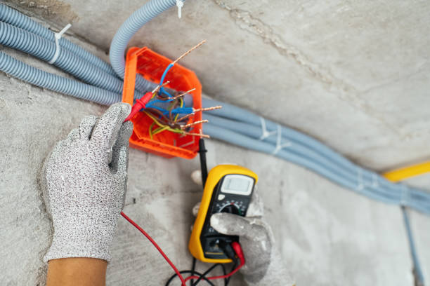Best Affordable Electrician  in Carlisle, IA