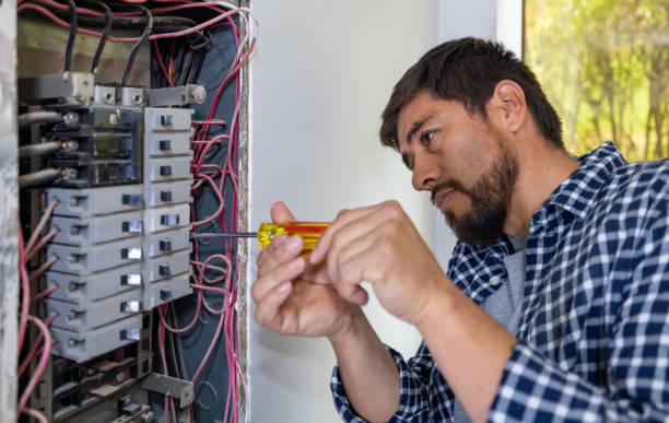 Best Licensed Electrician  in Carlisle, IA